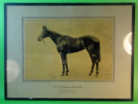 Portrætter af berømte derby-heste var yndet dekoration