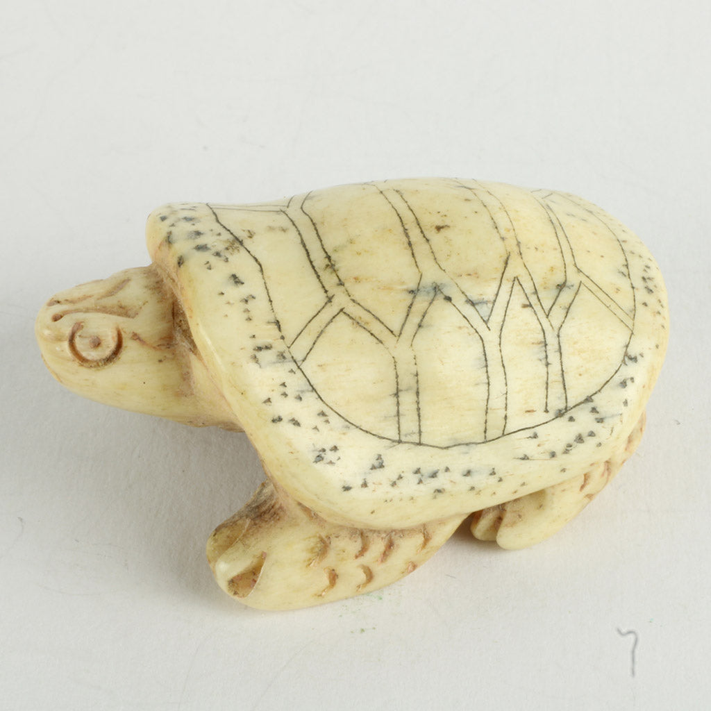 skildpadde af ben med mange detaljer og et elegant arbejde