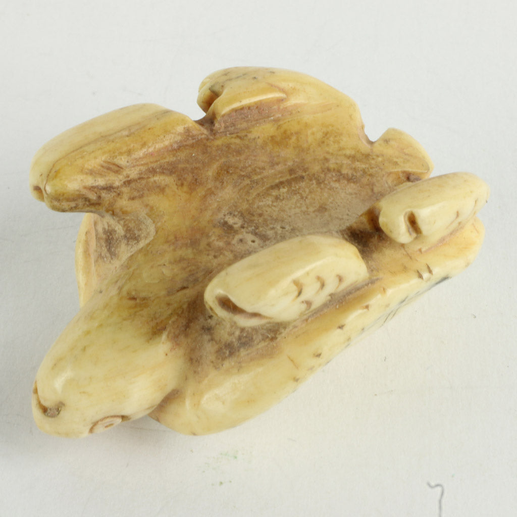 Orientalsk skildpadde figur af ben