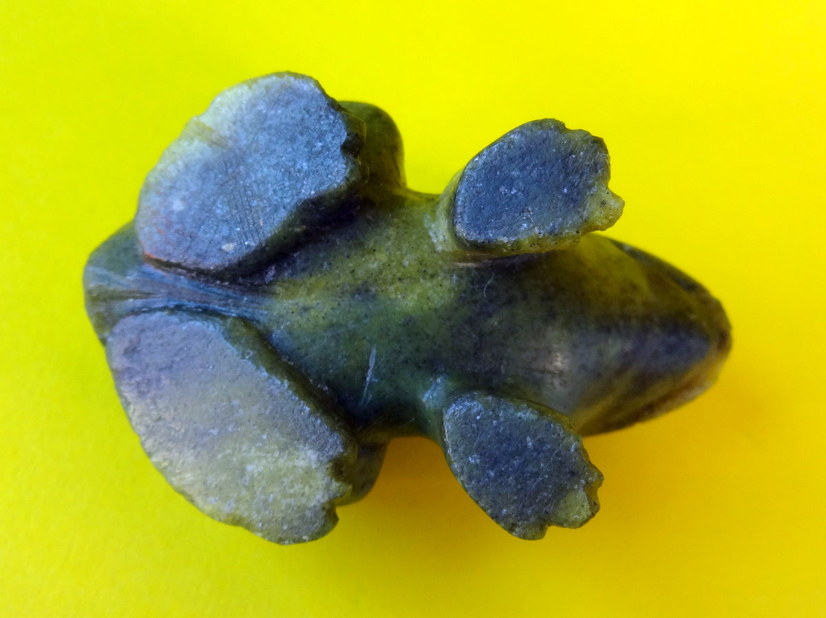 Jade frog